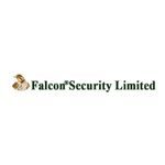 Falcon Security limited - bd logo